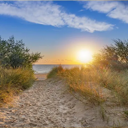 Bansin Seepferdchen 4 *