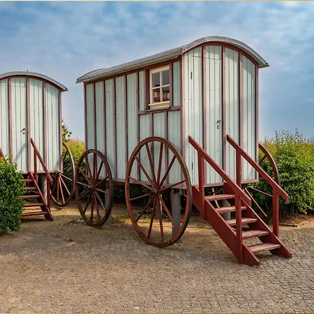 Bansin Seepferdchen 4 Heringsdorf (Usedom)