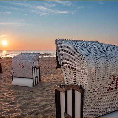 Bansin Seepferdchen 4