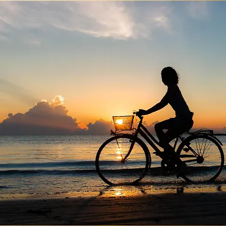 Bansin Seepferdchen 4