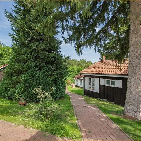 Bansin Seepferdchen 4